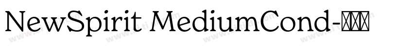NewSpirit MediumCond字体转换
